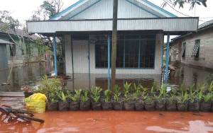 Ini Sejumlah Desa di Kotim yang Dilanda Banjir