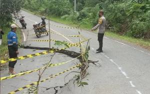  Hati-hati! Jalan Lintas Sei Hanyo-Kuala Kurun Rusak Akibat Longsor