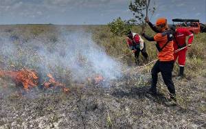 Hanya Beberapa Hari Tidak Hujan, 10 Hektare Lahan di Ujung Pandaran Terbakar