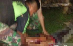 4 Jasad Korban Pembantaian KKB Dievakuasi ke Teluk Bintuni