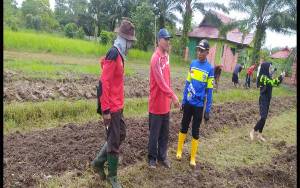 Petani di Seranau Masih Kesulitan Angkutan untuk Bawa Hasil Panen