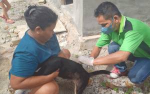 Dinas Peternakan Barito Timur Selesaikan Vaksinasi Rabies