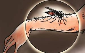 WHO: Kasus Malaria Global Meningkat Lebih Lambat pada 2021