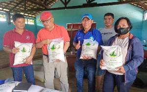 Kadis Ketahanan Pangan Kalteng Kunjungi Rice Milling Unit di Desa Rodok