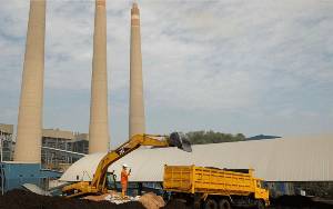 PLN Perkuat Rantai Pasok Biomassa Sebagai Pengganti Batu Bara