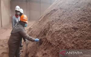 Kalsel Ekspor Limbah Sawit ke China Bernilai Rp15,03 Miliar