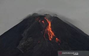 Gunung Merapi Luncurkan Enam Guguran Lava Selama Sepekan