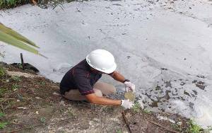 Bau Menyengat di Aliran Sungai Jalan Tjilik Riwut 2 Pangkalan Bun, DLH Kobar Masih Menunggu Hasil Lab