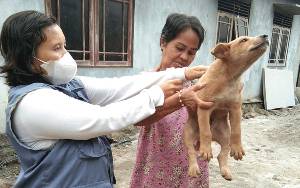 Anjing dan Kucing Jadi Prioritas Program Vaksin Rabies