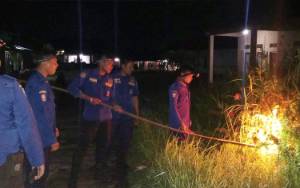 Damkar Seruyan Evakuasi Sarang Tawon Vespa