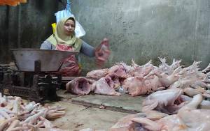 Harga Daging Ayam Ras di Kobar Tembus Rp55.000