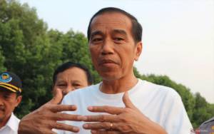 Soal Menteri Jadi Capres-Caleg, Jokowi:  Kalau Memang Dirasa Mengganggu Diganti