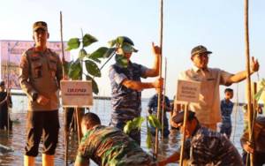 Penghijauan dan Cegah Abrasi Pantai, DPRD Dukung Penanaman Mangrove
