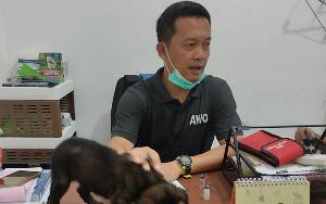 DPKP Minta Masyarakat Waspada Rabies Karena Sudah Mulai Memasuki Musim Kawin Anjing