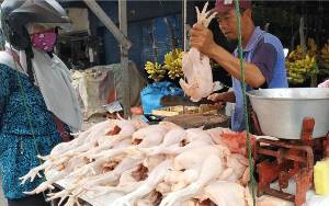 Omzet Pedagang Turun Drastis Akibat Kenaikan Harga Ayam Pedaging