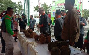 Pemkab Sukamara Gelar Kontes Durian Lokal Unggulan