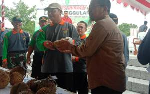 Kontes Durian Lokal Unggulan Sukamara Munculkan Usaha Baru