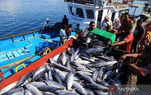 KKP Hitung Kuota Penangkapan Ikan Tiap Zona Sebagai Bagian Dari PIT