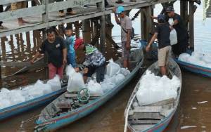 Legislator Dukung Pemko Palangka Raya Lestarikan Ikan Lokal