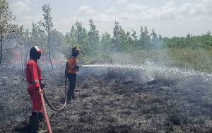Kebakaran Lahan di Desa Teluk Bogam Meluas