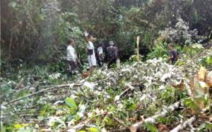 Warga Desa Karamuan dan Benao Hulu Gotong Royong Buat Jalur Tiang Listrik