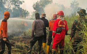 Karhutla Melanda Desa Bina Jaya Dadahup, Luasan Terbakar 7 Hektare