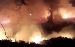 314 Hektare Lahan Terbakar di Kotim Selama Ditetapkan Status Siaga Karhutla