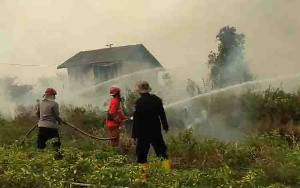 Satgas Karhutla Kapuas Berjibaku Padamkan Kebakaran Lahan di Wilayah Kecamatan Dadahup