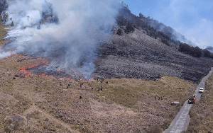 Wisata Gunung Bromo Ditutup Total Akibat Kebakaran Hutan dan Lahan