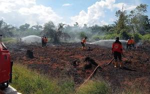 Sejak Januari - Agustus 2023 Sudah Lebih 500 Hektar Lahan Terbakar di Kobar