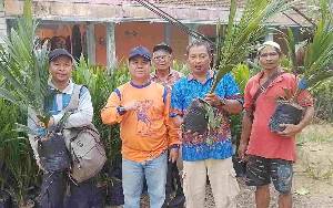Pemkab Barito Timur Salurkan Bantuan Bibit untuk 844 Hektare Lahan Sawit Masyarakat