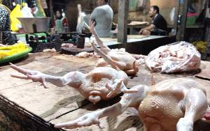 Harga Daging Ayam Ras di Palangka Raya Turun hingga Rp 32.000