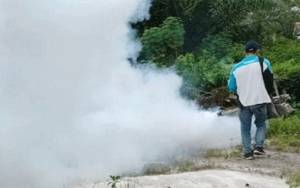 Fogging Membunuh Nyamuk Dewasa, Harus Dibarengi PSN