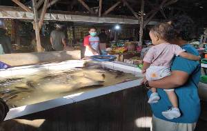 Harga Ikan Air Tawar di Pasar Naik Drastis