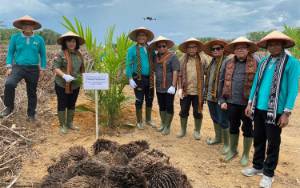 PT Indotruba Tengah Laksanakan Tanam Perdana Kebun Kemitraan di Desa Sungai Hijau
