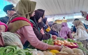 El Nino Berdampak Terhadap Sayuran Hortikultura, TPHP Kalteng Andalkan Kelompok Tani Food Estate