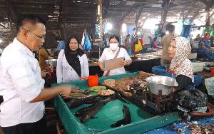 5 Jenis Ikan di Pasar Besar Palangka Raya Alami Penurunan Harga