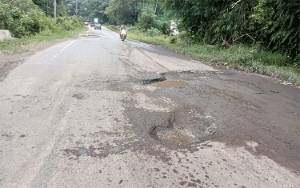 Jalan Berlubang di Desa Kandris Sering Sebabkan Kecelakaan, Warga Minta Perhatian Pemerintah