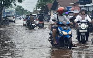 Sebanyak 44.270 Warga Kalteng Terdampak Banjir