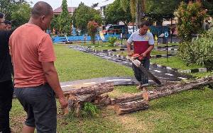 Cuaca Ekstrem Picu Pohon Tumbang di Palangka Raya