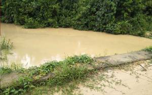 Pemkab Bartim Diminta Serius Tangani Dampak Lingkungan Akibat Tambang di Kecamatan Dusun Timur