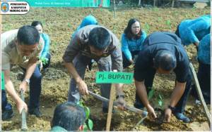 Pj Bupati Murung Raya Serahkan 1.600 Bibit Tanaman Cabai untuk Petani