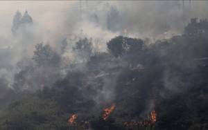 Korban Tewas Kebakaran Hutan di Chile Jadi 51 Orang