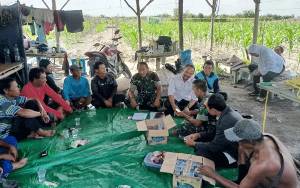 Dukung Ketahan Pangan Nasional, Kodim Pangkalan Bun Gandeng Petani Kelola Lahan Milik TNI