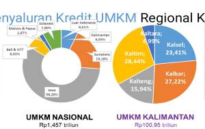 Penyaluran Kredit UMKM Kalimantan Capai Rp100,95 Triliun