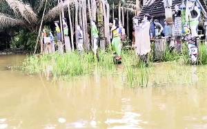 Desa Tumbang Mujam Dilanda Banjir, Sandung Turun Temurun Ikut Terdampak