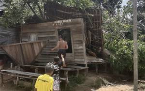 Rumah Warga Tertimpa Pohon Tumbang Akibat Angin Kencang di Desa Pangke