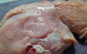 BPS Kalteng: Waspada Inflasi dari Daging Ayam Ras