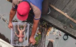 Jasad Bayi Ditemukan Mengapung di Sungai Mentaya Sampit