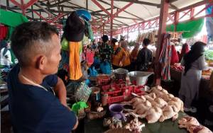 Jelang Lebaran Harga Ayam Potong di Kuala Pembuang Merangkak Naik